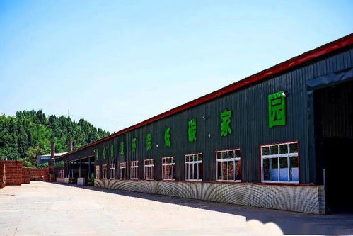 四川建園建材公司 園林式磚廠，顛覆傳統(tǒng)建材行業(yè)